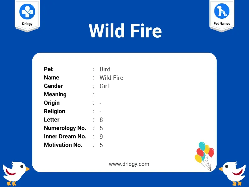 Wild Fire Name Meaning